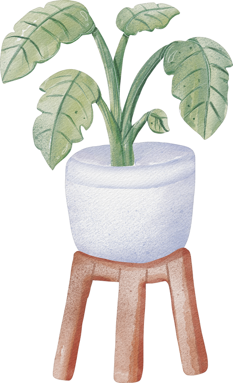 watercolor houseplant