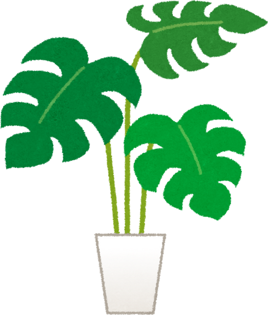 Monstera Plant Illustration